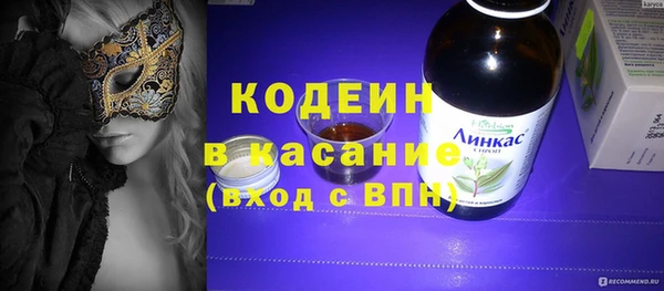 шишки Белокуриха