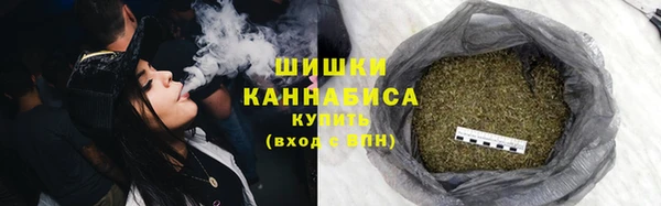 шишки Белокуриха