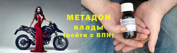 шишки Белокуриха