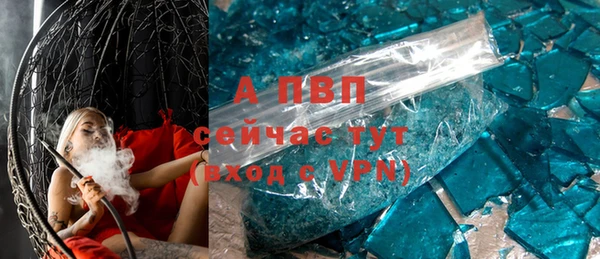 шишки Беломорск