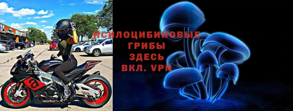 шишки Беломорск