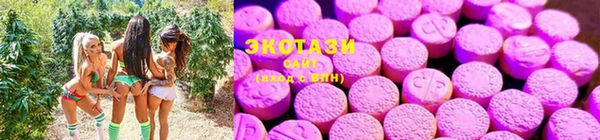 шишки Беломорск