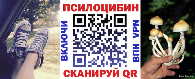 Псилоцибиновые грибы прущие грибы  Чишмы 